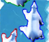 Polar Bear Racing