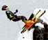 Ski Sim