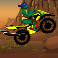 Ninja Turtle Death Desert