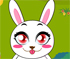 Rabbit Marathon