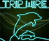Tripwire